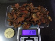 野生牛樟椴木牛樟芝.最小版  一兩4000.(37.5公克)現貨供應