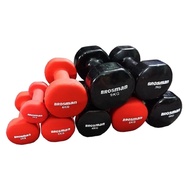Brosman 9kg iron dumbbells, high quality iron dumbbells - Quyensports