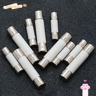 EUCALYTUSMY Ceramic Tube Fuses, Boxed 0.2A-20A Ceramic Fuse,  5*20mm 250V Fuse Kit