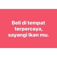 DIMILIN HI CONCENTRATE