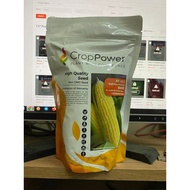 Benih Jagung Manis/SweEt Corn CROP POWER Hibrid (Its a seed not a plant!)