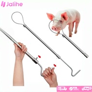 Animal Catcher Alat Penangkap Binatang Anjing Animal Dog Catcher Kucing Babi Biawak