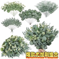 Artificial green plant money leaf, artificial plant eucalyptus leaf, artificial leaf ornament, decor