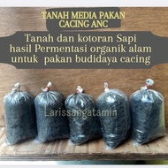 TANAH MEDIA BUDIDAYA CACING ANC HIDUP