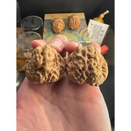 RUIXI Studio |【肌肉面包蛤蟆头】| Natural Walnut for Collection D823【品种】Ha Ma Tou Walnut Pair 大尺寸文玩核桃对送礼收藏品自玩