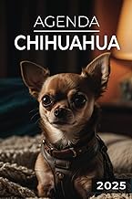 Agenda 2025 - Chihuahua: Journalier | 2 jours par page | Format A5 | Couverture Souple | 194 pages |