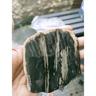 Raw fossil gemunggal kursani Wood Becomes A Natural Quality Stone