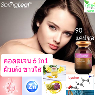 Spring leaf inner beauty collagen 6 in 1 springleaf collagen คอลลาเจน ผิวเด้ง ขาวใส วิตามิน spring l