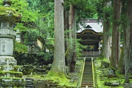 1 Day Tour from Kanazawa: Eiheiji Temple and Fukui City Castle Town