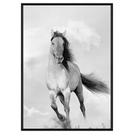 Boluo 菠蘿選畫所 馳騁的野馬 ANSS3406B 掛畫  40 x 30cm  黑色