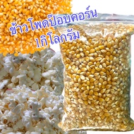 เมล็ดข้าวโพด ข้าวโพดป๊อปคอร์น popcorn  ขนาด1000กรัม อเมริกา เมล็ดข้าวโพดpopcorn เมล็ดป๊อบคอร์น ป๊อบคอร์น