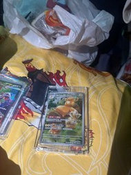 寶可夢卡牌 呆呆獸