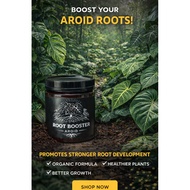 Rootera Aroid (Aroid Root Enhancer & Root Booster) Baja Akar 50g