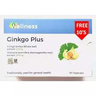Wellness Ginkgo Plus