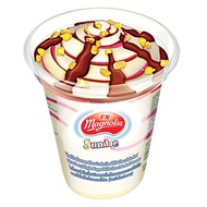 Magnolia Cravio Sundae Cup ( 1 CTN X 18 UNIT X 145ML ) - Klang Valley Only