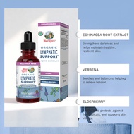 Hot Sale   Lymphatic Support Drops with Echinacea Herbal Extract LYMPHATIC SUPPORT