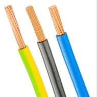 NYAF 2.5 2.5 mm 2.5 mm Stranded Electrical Cable 2.5 mm Perdana (Meter) NYAF Stranded Electrical Cab