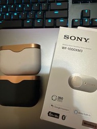 Sony WF-1000XM3