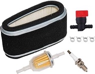 JJDD Carkio 11013-2110 Air Filter with Pre-Filter Spark Plug Fuel Filter Shut-off Valve Tune Up Kit 