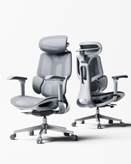 HBADA E3 Air 2026 Edition Ergonomic Chair Adjustable Headrest Armrest & Backrest Office Chair Mesh G