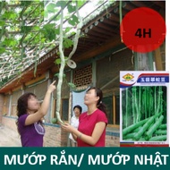 Snake Luffa Seeds/Japanese Luffa (4H)