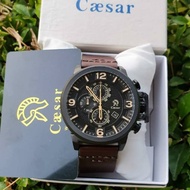 PROMO Jam Tangan Murah Caesar 1016 Strap Kulit Leather Pria CA1016