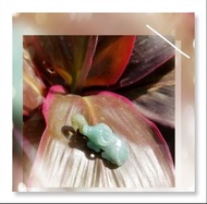 全新品 天然優質 緬甸玉 盤坐姿態 壯牛造型 寓意: 休閒舒適、 福壽康寧 吊咀 一個 JP-151