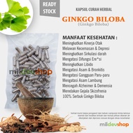GINKGO BILOBA 100 Kapsul Curah Herbal Libido Anti Aging Kinerja Otak