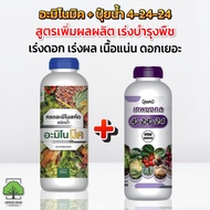 อะมิโนมิค + ปุ๋ยน้ำ 4-24-24 ตราเทพมงคล คู่หู เร่งดอก เพิ่มผลผลิต รสชาติดี ขนาด 1ลิตร