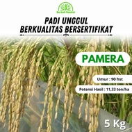 Benih Padi Pamera (Padi Merah Aromatik) 5kg