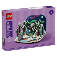 *In Stock* Lego Seasonal Wonders Of The Natural World 40785 Northern Lights Diorama Limited Edition 