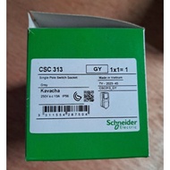 [SURPLUS - NEW Unused ] Schneider Electric CSC313 GY Kavacha-13A-250V-Surface Mount 1 Pole Switched 