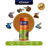 Intan Fish Food - Guppy Pellets 🐠 Player Choice For Fish Like Guppies & Small Surface Eating Fish