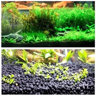 Aquarium Soil Fish Tank Water Plant Fertility Substrate Sand Aquarium Fertilizer Aquarium Substrate Aquatic Float Grass Clay