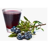 BLUEBERRY FRUIT CONCENTRATE JUICE 500G TAIWAN 蓝梅浓缩果汁