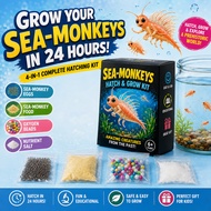 Grow Your Own Sea Monkeys DIY Hatch Kit 4 in 1 Science Experiment Educational STEM Toy with Eggs Foo