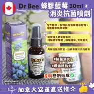面交現貨❣️ 加拿大Dr Bee Propolis Throat Spray 蜂膠藍莓消炎抗菌噴劑 30ml