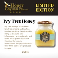 [泉發蜂蜜 CHYUAN FA] Seasonal Ivy Tree Honey (250g)