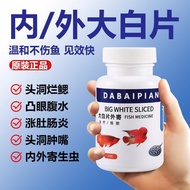 Genuine British Big White Slice Fish Medicine Parrot Fish Intestinal Inflammation Inner Out Parasite