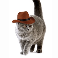 1 random color pet cat dog hat star cowboy hat pet supplies adjustable dog clothing top hat headwear