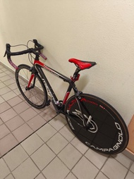 整車放Merida scultura evo碳纖維公路車 UT件封閉輪 not giant java