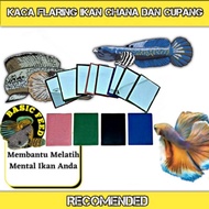 Funky Jantur Mirror Mental Mirror | To Train channa Fish Betta Fish peacook bass Arowana Fish oscar 