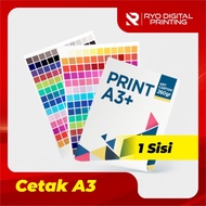 Print Art Paper & Various A3+ Size Paper | Print 1 Side