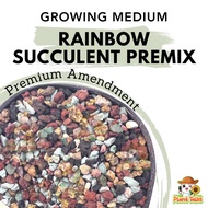 Plant Talks Rainbow Mix for Succulent and Soil for Lithops Well Draining Soil