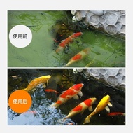 Algae Remover Fish Pond Landscape Algae Remover Algae Remover River Remover Green Algae Remover Wate