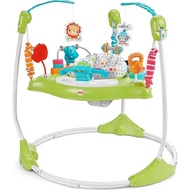 Fisher-Price Baby Bouncer Fitness Fun Jumperoo Musical Activity Center with Lights Sounds & Developm