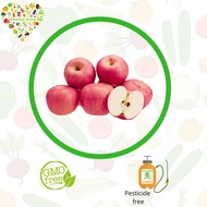 buah premium apel fuji 1 kg