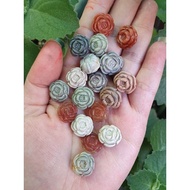 Y0406C Alxa Camellia Through Hole Accessories 13.3 X 13.8 X 8.1 Left Right