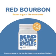 Hai single origin Doitung Mixed lot (Red Bourbon) Nan Thailand 🇹🇭 เมล็ดกาแฟคั่วกลาง