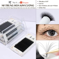 Douyin super flying top eyelashes (sole 3 lengths) Chinese Douyin standard LC curvature - Thuy Ha Ey